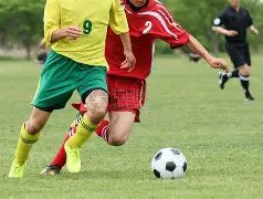 争议升级,汪士钦熊猫,杯红牌事件,韦德体育,韦德体育官网,韦德体育app,韦德体育下载,betvictor官网