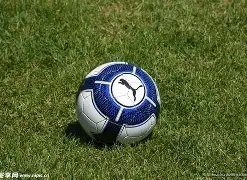 哈兰德荣耀,时刻,英超百球达,韦德体育,韦德体育官网,韦德体育app,韦德体育下载,betvictor官网