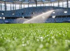 巴甲劲旅忧,奥斯卡伤病,缠身,韦德体育,韦德体育官网,韦德体育app,韦德体育下载,betvictor官网