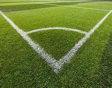 巴甲劲旅忧,奥斯卡伤病,缠身,韦德体育,韦德体育官网,韦德体育app,韦德体育下载,betvictor官网