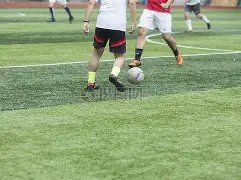 揭秘阿莫林,危机,谢什科食物,韦德体育,韦德体育官网,韦德体育app,韦德体育下载,betvictor官网