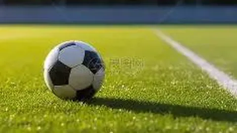 《内幕揭秘：巴塞罗那深度评估凯恩，耐心等待最佳时机！》