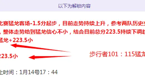 詹姆斯搭档之最：东契奇竟成最佳拍档？