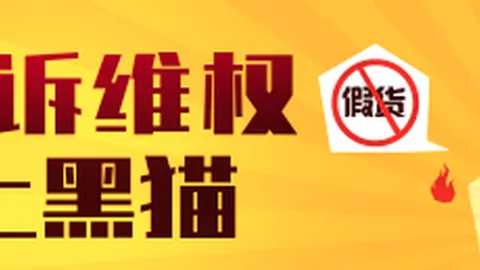 2026年金砖国家领导人第十八次会晤，习近平主席新德里之行详解